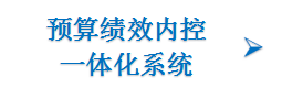 预算绩效内控一体化系统